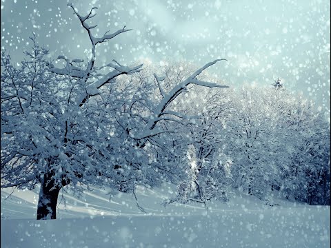 Люцина ХВОРОСТ — Тихо падає сніг (Музика Василя ДУНЦЯ, слова Олега ГЕРМАНА) [AUDIO]