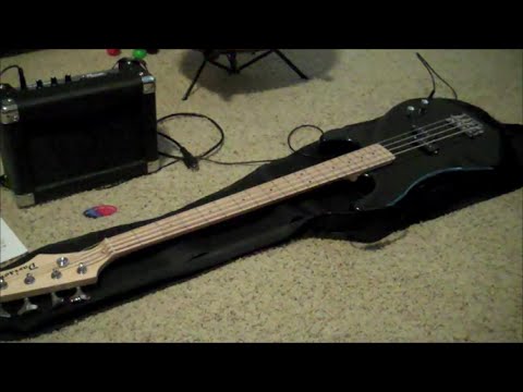 Electric Bass Guitar Review (by a kid for other kids)