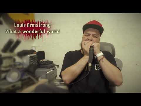 Boris Plotnikov - What A Wonderful World - JDR Assassin Pro Bb - Louis Armstrong harmonica cover