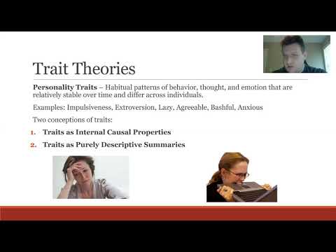 image-What are examples of trait theory?