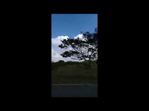 Pista de baile llanero 7 (JOROPO) instrumental criollo - Juan llanotutor