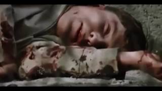 El muro de Berlín - Nino Bravo &quot;Libre&quot;