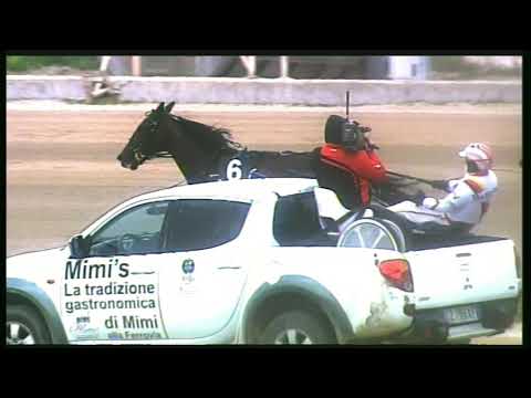 Trotto 01/03/2020 - 2ª corsa