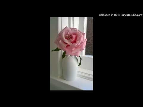download lagu mp3 mp4 Sei La Mia Rosa, download lagu Sei La Mia Rosa gratis, unduh video klip Sei La Mia Rosa