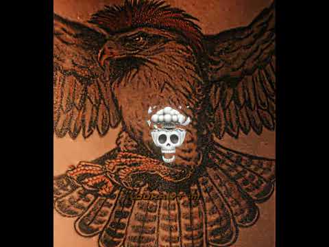 Hawk in S2☠️🔥#cobrakai #migueldiaz #hawk #edit #shorts