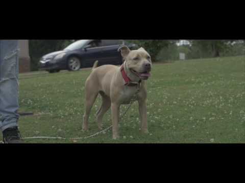 LuckGangKibias- Make It Out | Shot By@Flyvision