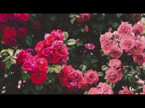 High Soul Sounds-Hatırla