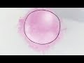 Ver Pink Gum - Trailer
