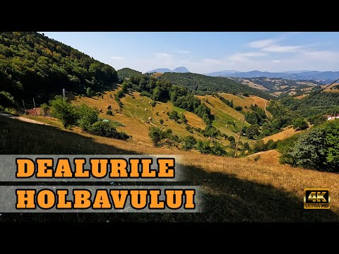 Traseu in Muntii Magura Codlei: Am tractat remorca cu copii pe dealurile pitoresti de langa Holbav
