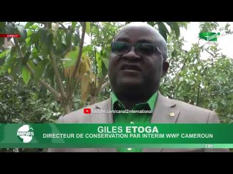 LE JOURNAL 13H00 du Mercredi 24/06/2020 - Canal 2 international