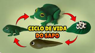 🔴 FAÇA o CICLO DE VIDA DO SAPO - Tutorial Fácil Biscuit, Pasta Americana, Clay ou Plastilina - DIY
