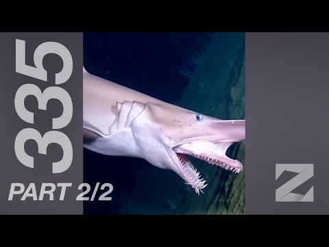 iZap4u – Zap 335 (Short Edit) Part 2/2