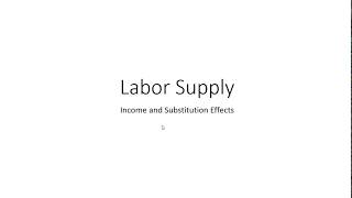 Labor Supply: Income and Substitution Effects
