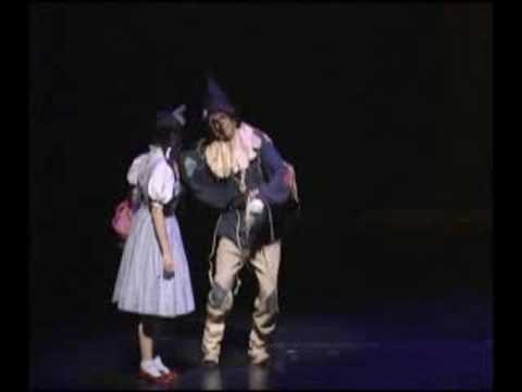 If I Only Had A Brain - Wizard of Oz - Todd MacIntyre