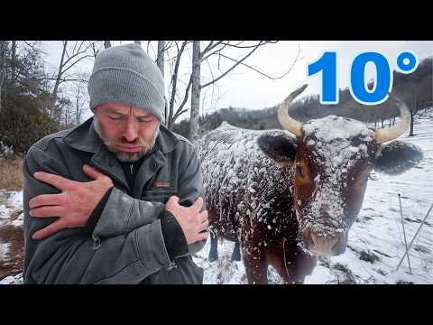 Winter Homestead: Avoid These 10 Common Mistakes