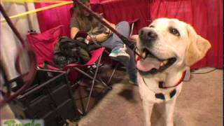 Jungle Jenny 2010 Pet Expo Part 2 C SAR