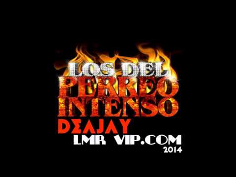 DJ LMR vip - MiX PeRReO 2014 ((( RECONRDANDO VIEJOS TIEMPOS))))