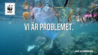 Snart mer plast än fisk i haven?