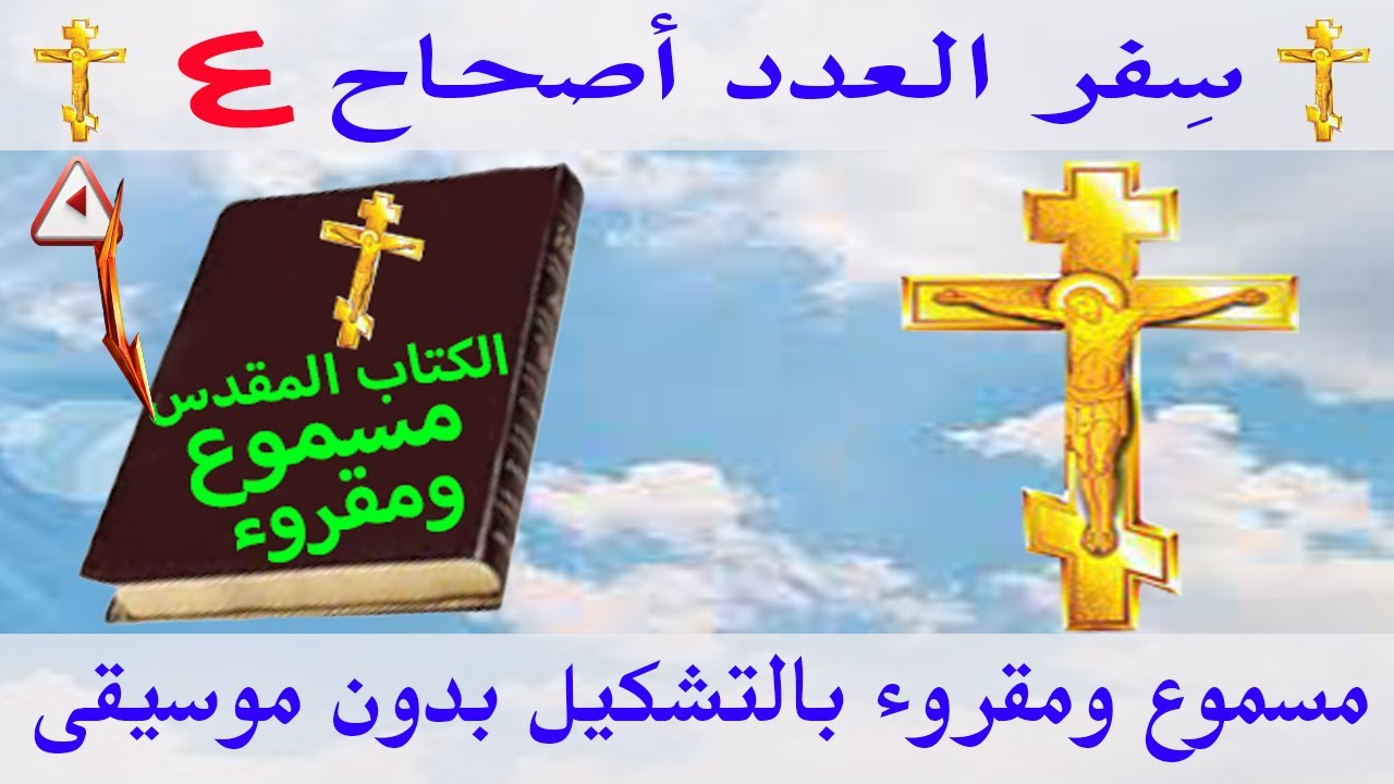 فيديو تفسير الكتاب المقدس | الكتاب المقدس رفيقي