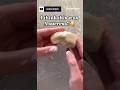 How To Make Slime Without Glue Or Activator Shorts