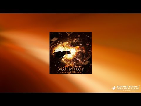 Ludvigsson x Jorm - Gunshot (feat. Jonny Rose) [Summer Sounds Premiere]