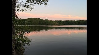 Giants by Kellie Loder