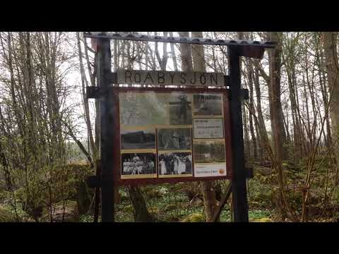 RÖABYSJÖN - 200427 - Bräkne-Hoby - RONNEBY - iPhone SE (Blekinge) (badplats)