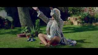 Boxer - Bobby’s back