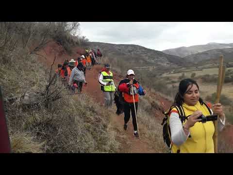 PEREGRINOS DEL TALA SALTA ARGENTINA