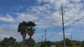 【ひだまり菜園】アキアカネが飛ぶ季節になったらしい【風景動画】