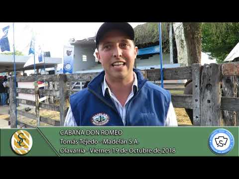 19-10-18 Nota Tomás Tejedo - Madelán S.A. - Cabaña Don Romeo - Olavarría