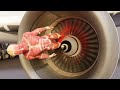 HUMAN BODY vs AIRPLANE ENGINE animation