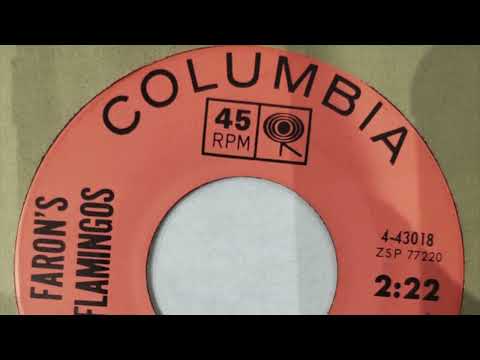 Lets Stomp - Faron's Flamingos