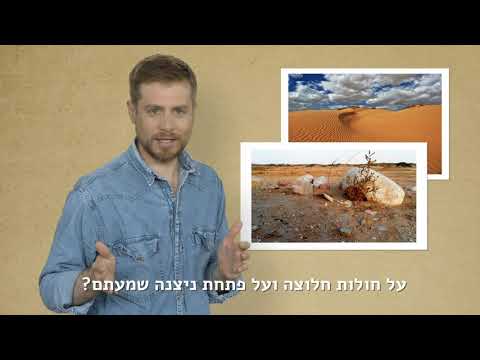 תכנית המאה של טראמפ - חילופי שטחים