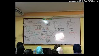 3) Dr. wael salah eye lid disorders 2