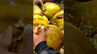 Download lagu Dwegan alias rujak kelapa muda 🥶 mp3 Download lagu Dwegan alias rujak kelapa muda 🥶 mp3