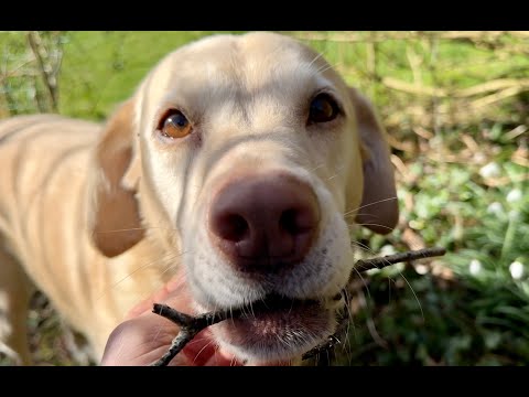 Olive and Mabel's Garden - Part 1.