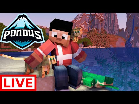 PONDUS! VI BYGGER PÅ ZOOEN LIVESTREAM!