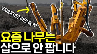 '요즘' 나무 농사 판매 현장 근황입니다 ^^ (조경수 농사)