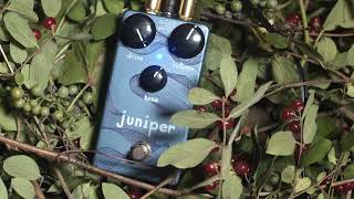Video thumbnail for Introducing: Juniper by Adventure Audio