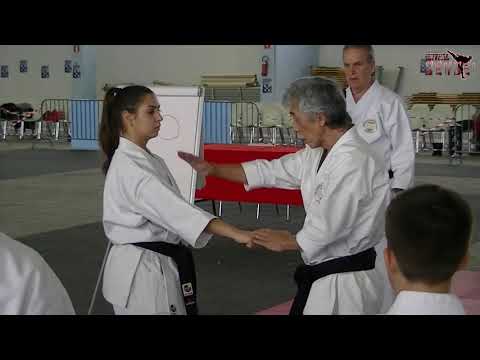 Soke Inoue Yoshimi - kata Annan & bunkai