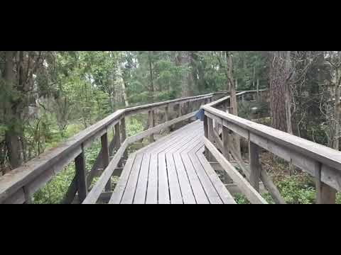 Besuch des Store Mosse Nationalpark