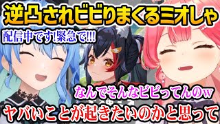 みこめっとに逆凸されガチビビりするミオしゃｗ【ホロライブ】