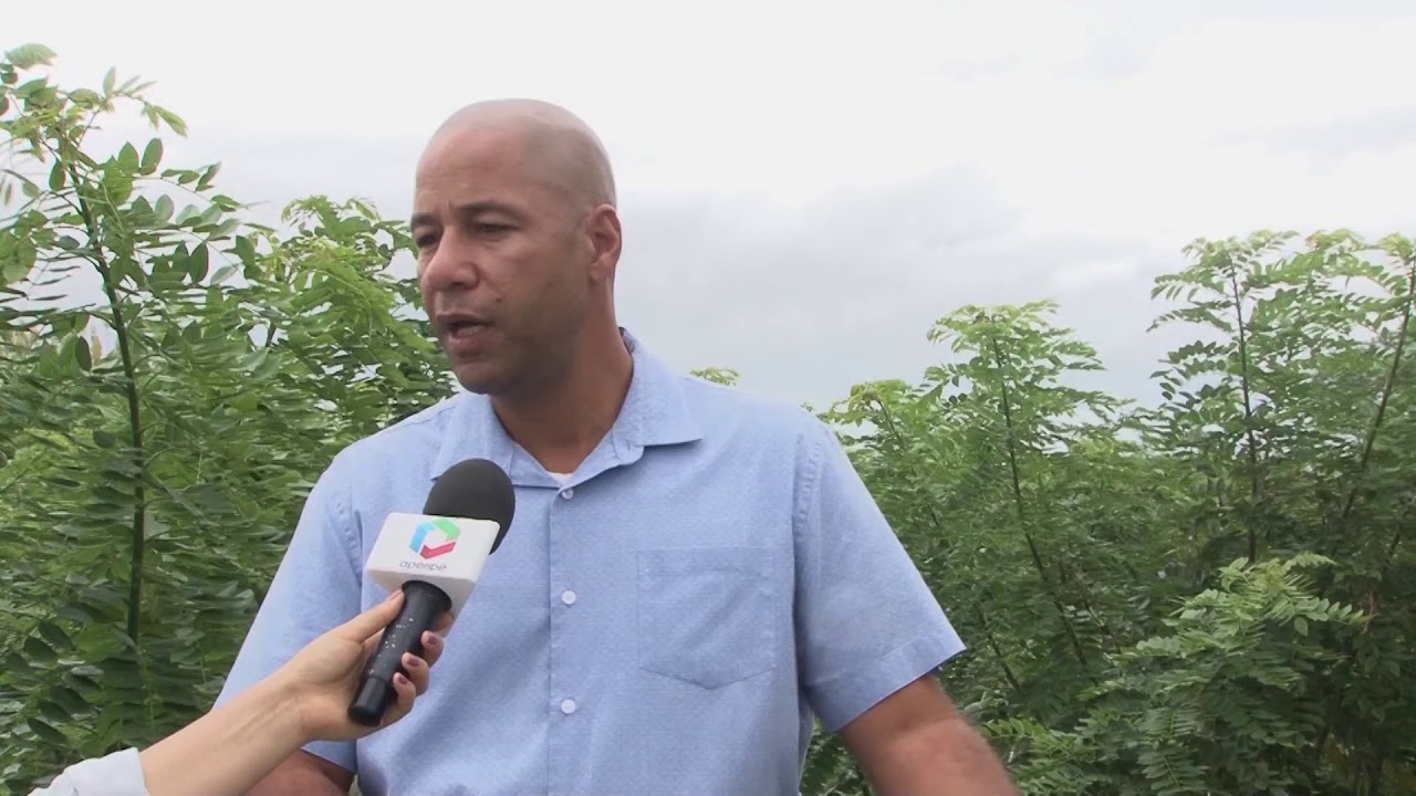 ILPF para Semiárido