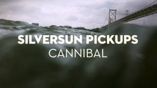 Silversun Pickups - &quot;Cannibal&quot; (Audio)