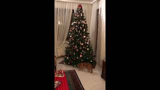 (2020-12-09) Fred&Barney fanno conoscenza con l'albero di Natale