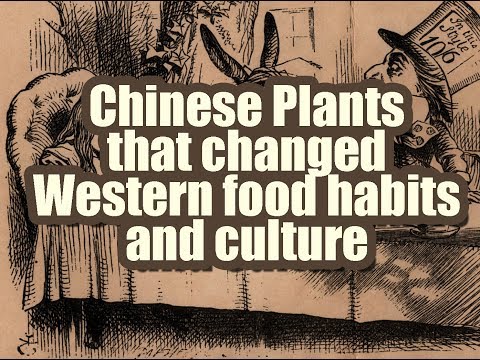 9 Chinese Native Plants That Changed Western Food Culture