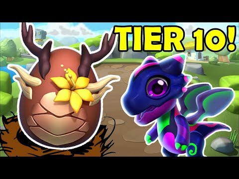 Big Kick Cup TIER 10 + SYLVAN DRAGON Hatching + Daily Quests Discussion! - DML #877