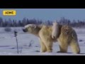 Хорошо когда есть МАМА 