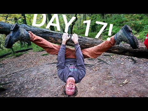 { MINI STUDIO TOUR }